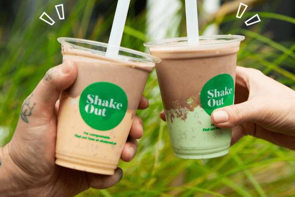 Shake Out
