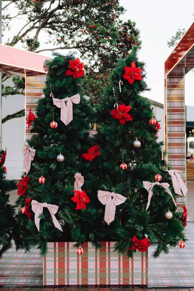 Christmas Wonder Lane Viaduct Harbour