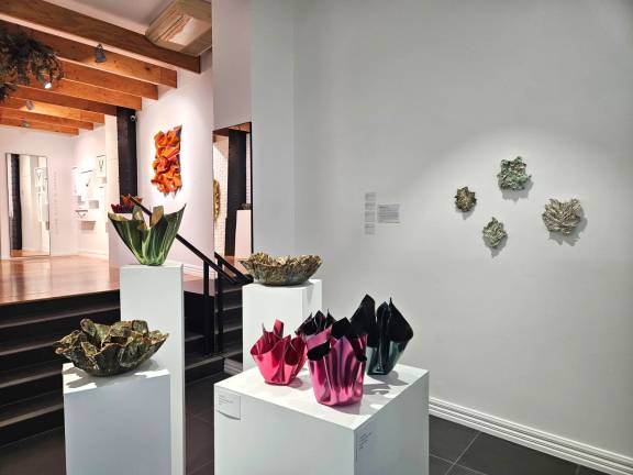 XHUBA Gallery High Street